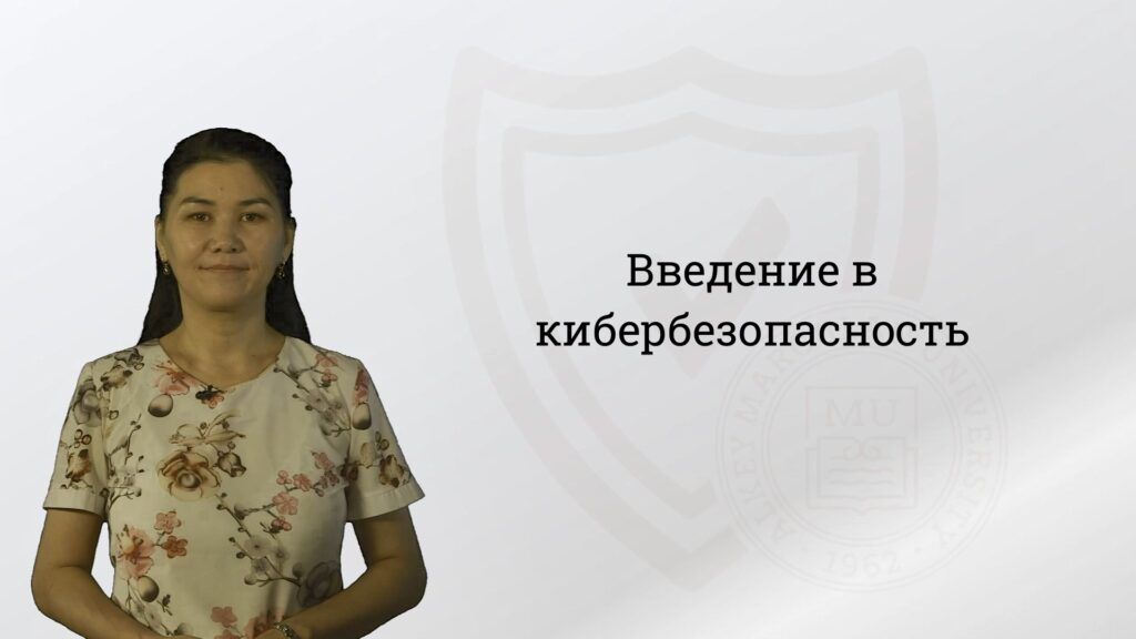 Введение в кибербезопасность